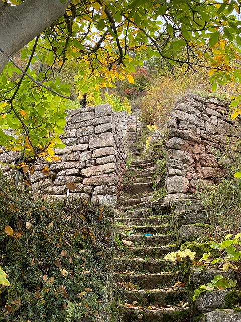 Free Vineyard Stairs photo and picture