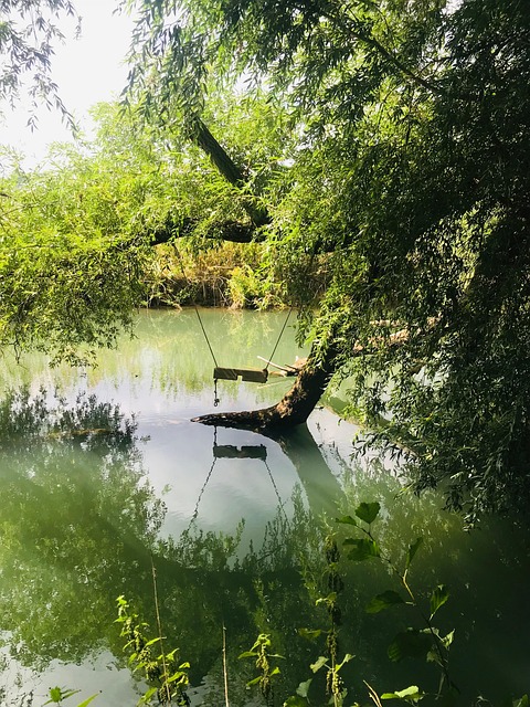 Free Water Nature photo and picture