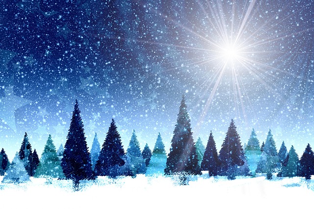 Free winter forest christmas illustration