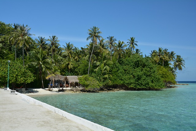 Malediven, Strand, Meer, Wasser, Palmen