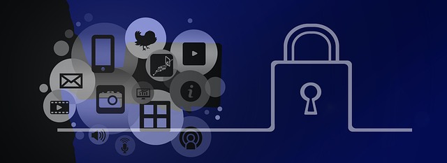 Free security padlock networks illustration