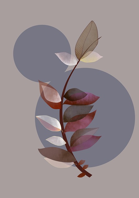 Download free HD stock image of Branch Boho Free branch boho bohemian illustration
