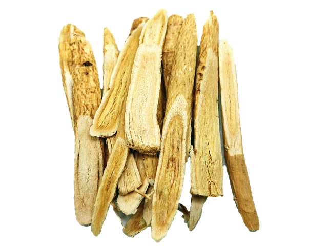 Ziegendorn, Astragalus, Wurzeln, Alten