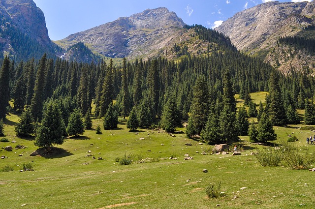Free Kyrgyzstan Barskoon photo and picture