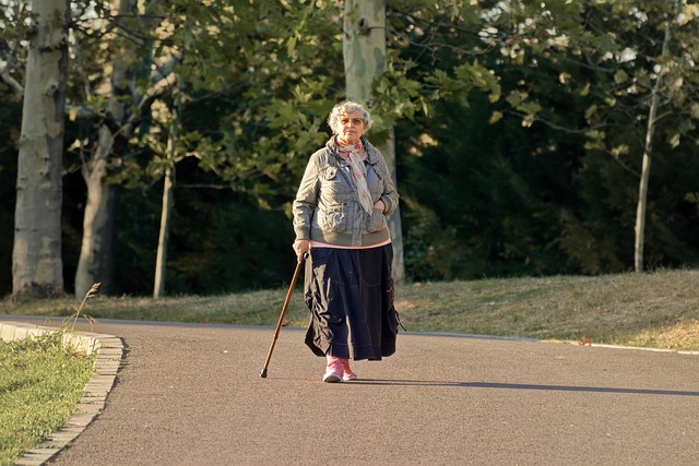 woman, elderly, casual, eyeglasses, walking stick, walk, alley, parka, trees, nature, autumn, relaxation, lifestyle, grandma, grandmother, grandparents