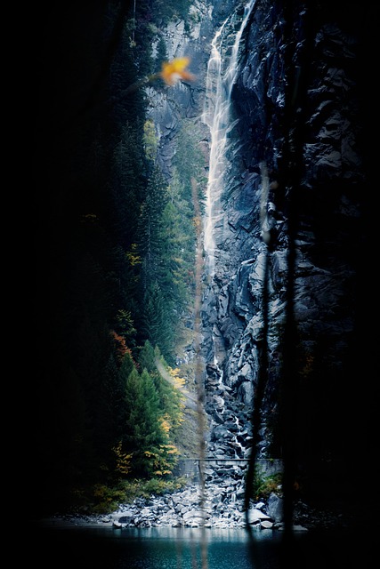Vandfald, Træ, Mystisk, Natur, Skov