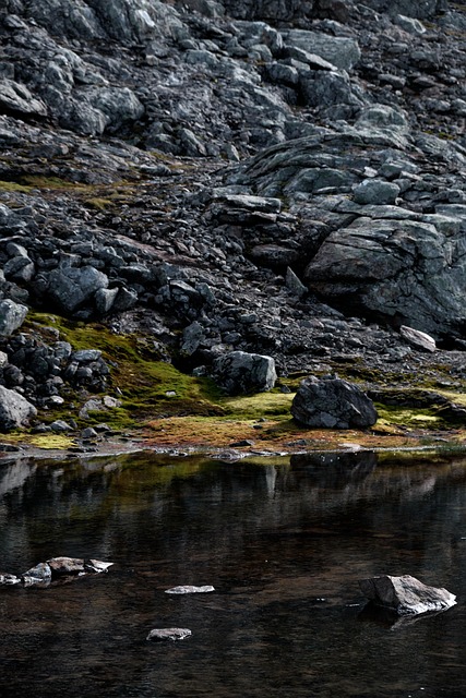 Free Autumn Sweden photo and picture