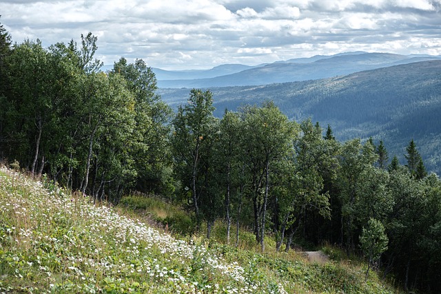 Free Autumn Sweden photo and picture