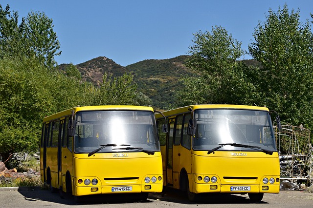 Free Buses Old photo and picture