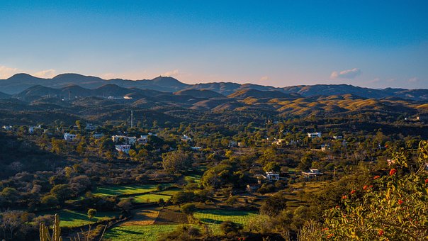 Paisaje, Naturaleza, Bosque, Árboles
