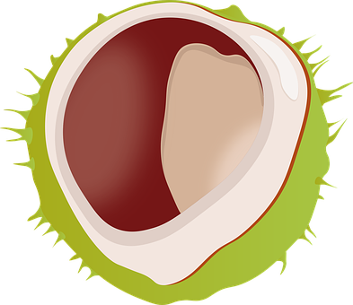 Free Chestnut Autumn vector and picture