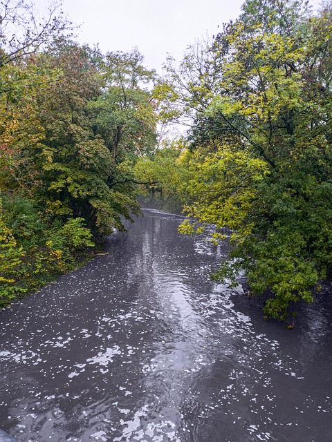 Frankfurt, Tyskland, Natur, Efterår