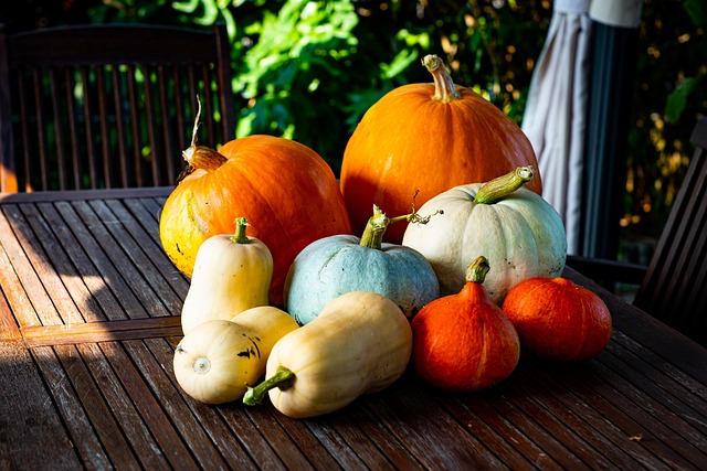 Free Thanksgiving Pumpkin photo and picture