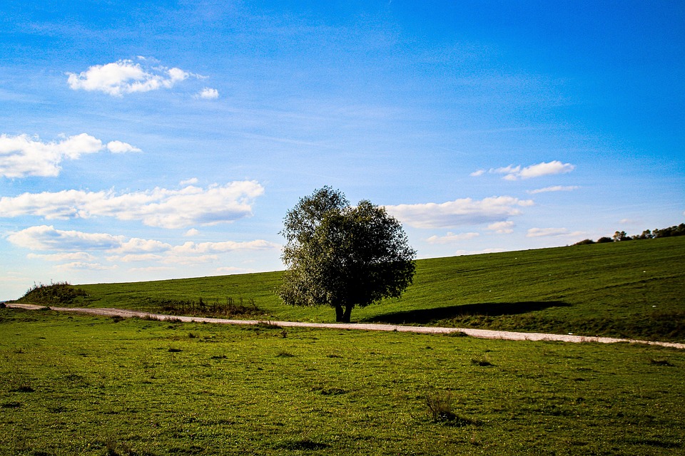 Image Colline Nature Colline Arbre - Photo gratuite sur Pixabay - Pixabay