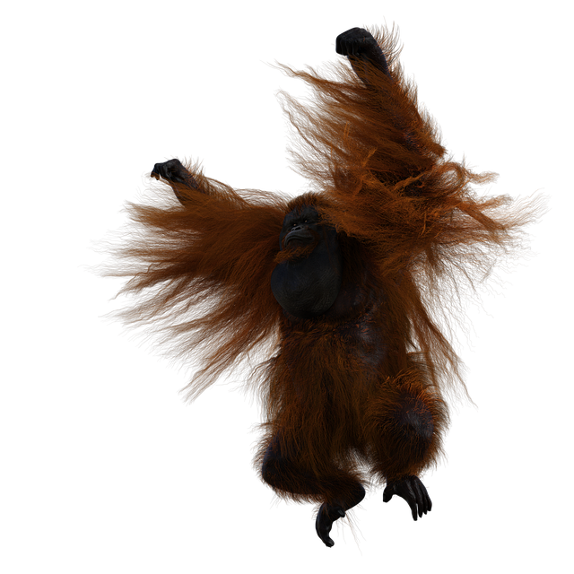 Free orangutan primate nature illustration