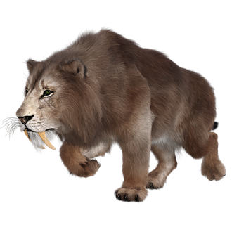 Smilodon, Šavlozubá Kočka, Vyhynulý