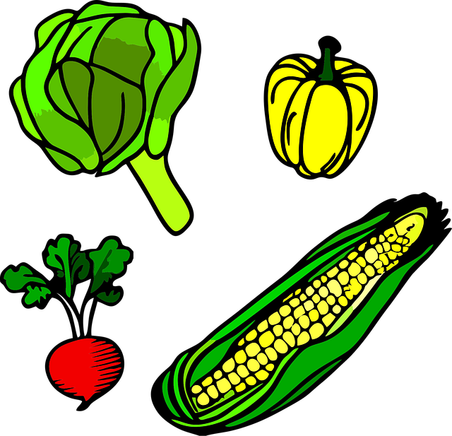 Free vegetables broccoli pepper vector