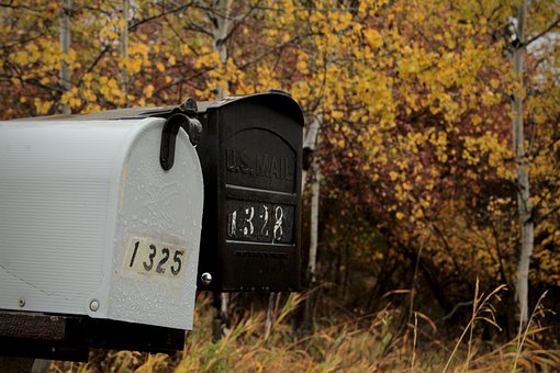 Postkasser, Efterår, Blade, Natur