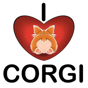 Hund, Kæledyr, Hundehvalp, Dyr, Corgi