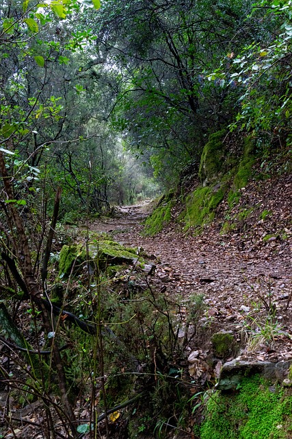 Španělsko, Huelva, Pole, Krajina