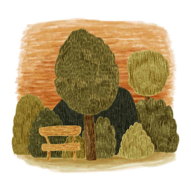 Mesa De Trabajo, Árboles, Parque