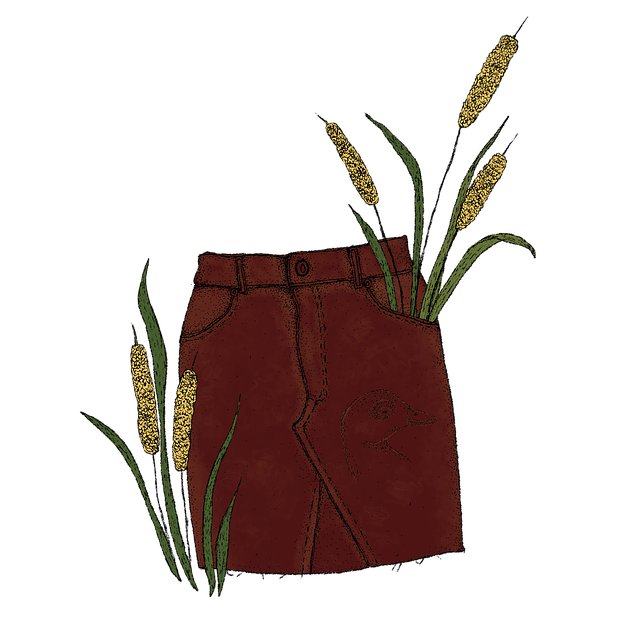 Falda, Ropa, Vestir, Moda, Cañas, Planta