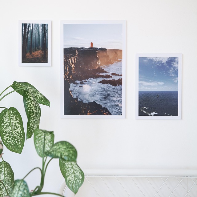 Print, Indretning, Fotografering, Natur