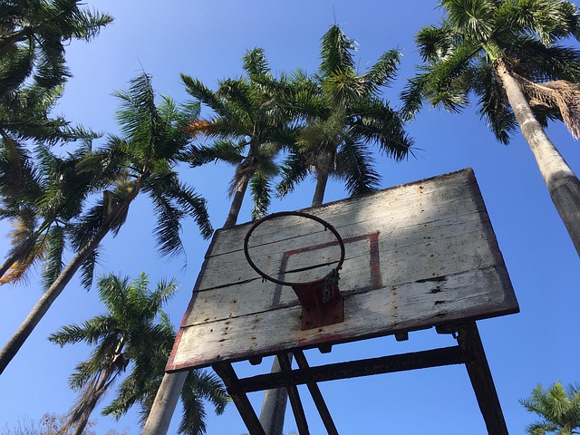 Free Basketball Hoop photo and picture