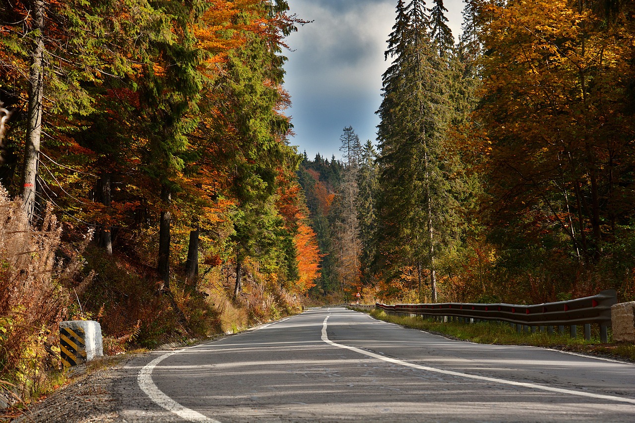 Road - free online jigsaw puzzle photo