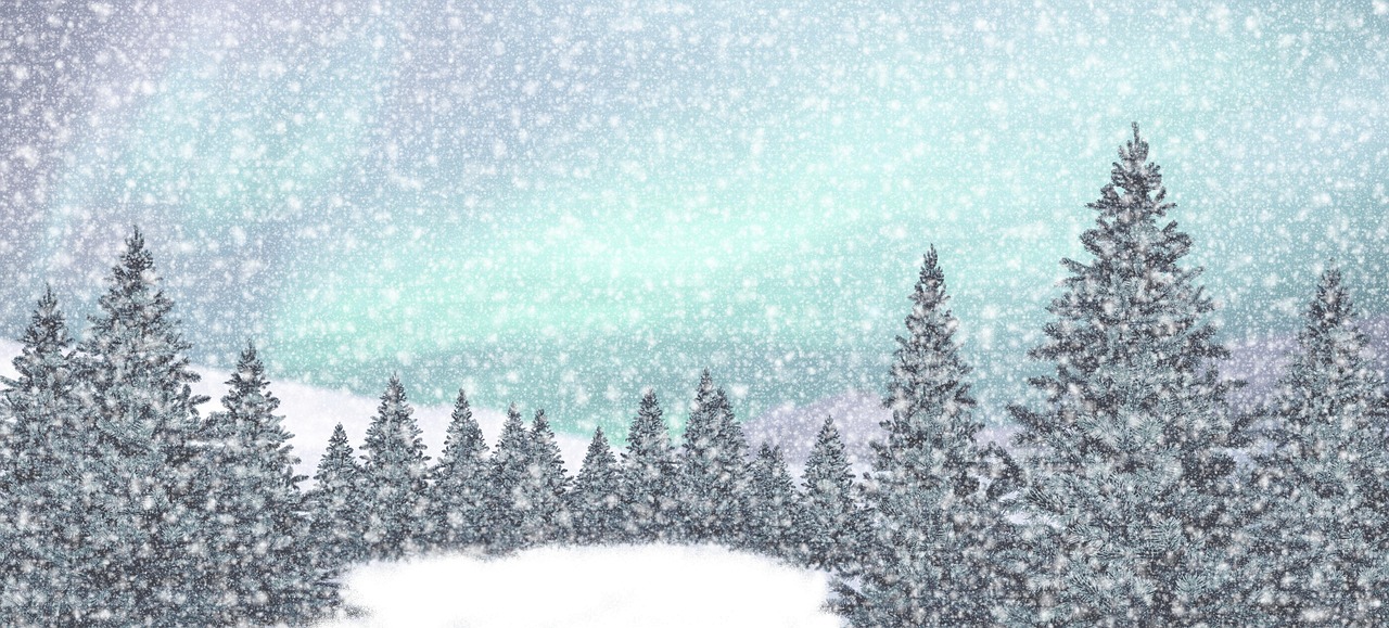 Download Winter Forest Fir Trees Royalty-Free Stock Illustration Image ...