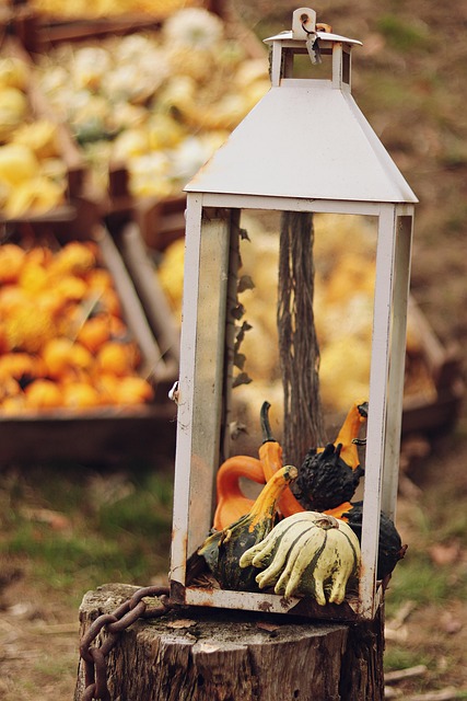 Free Pumpkins Vegetables photo and picture