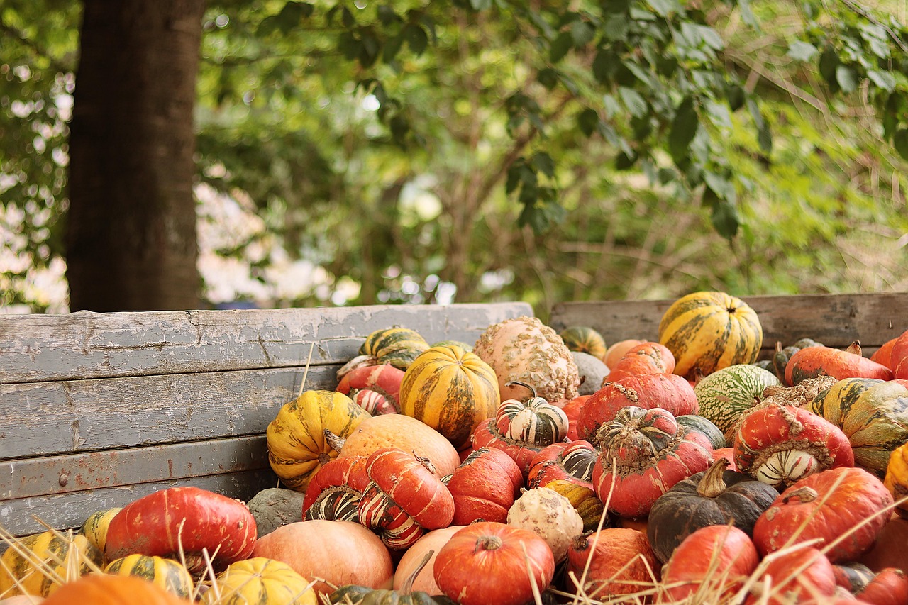 20 000 Free Farm Produce Agriculture Images Pixabay 20 000 Free Farm Produce Agriculture Images Pixabay