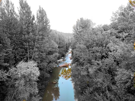 Fluss, Bäume, Natur, Landschaft, Steine