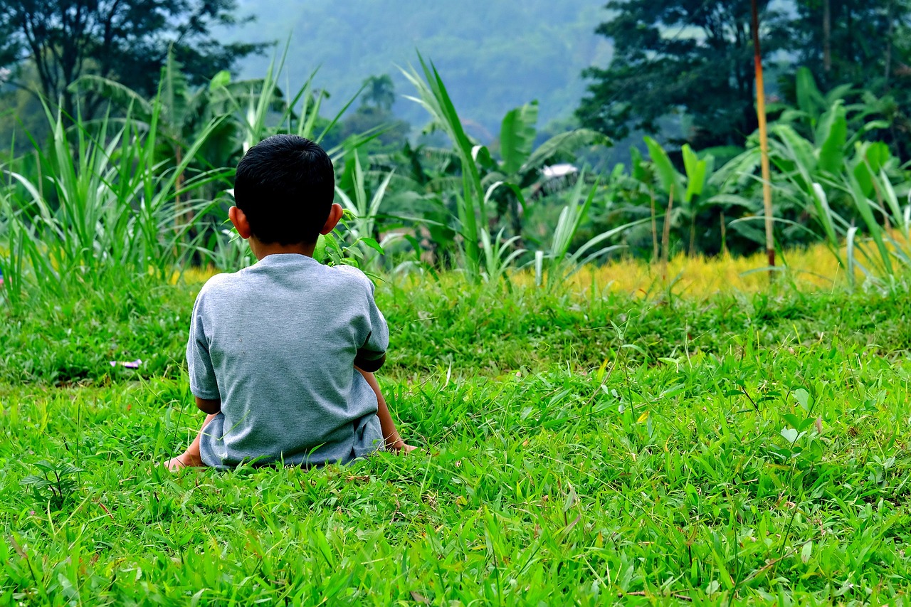 Sitting Alone Young Boy Rice Farm - Free photo on Pixabay