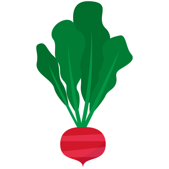 300개 이상 무료 무 및 채소 일러스트레이션 - Pixabay