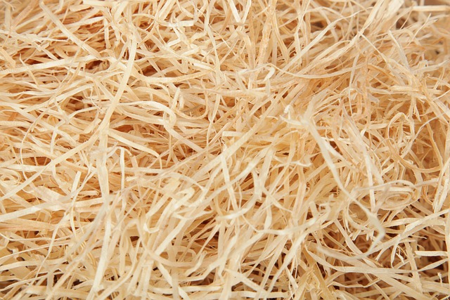 Free Wood Wool Wood photo and picture