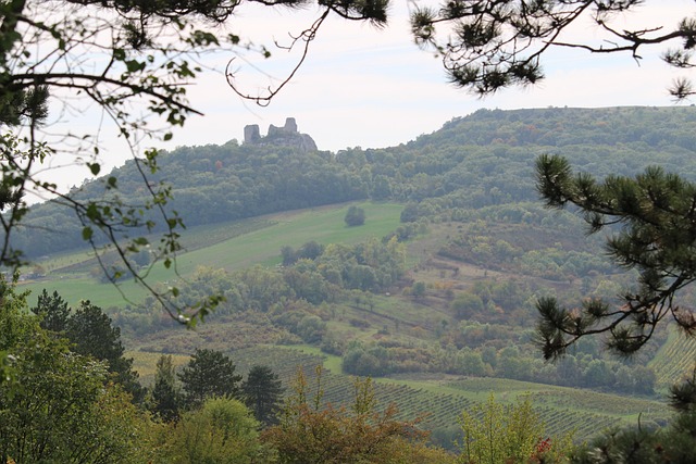 Free Landscape History photo and picture