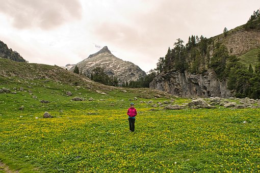 Pirinei, Păşune, Munţi, Huesca, Aneto