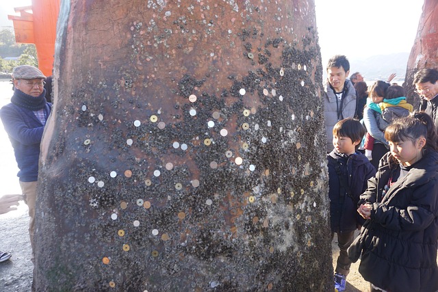 Free Japan Miyajima photo and picture