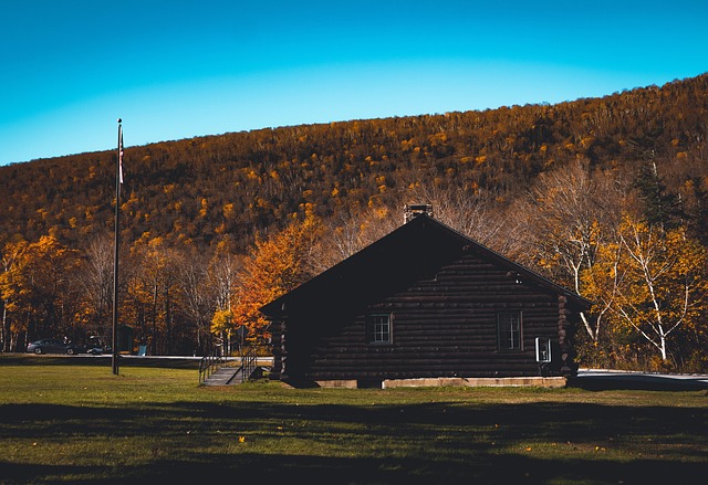 Free Hut Cabin photo and picture