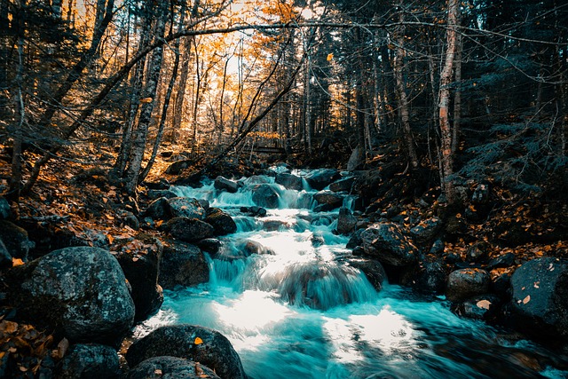 Free Waterfall Trees photo and picture