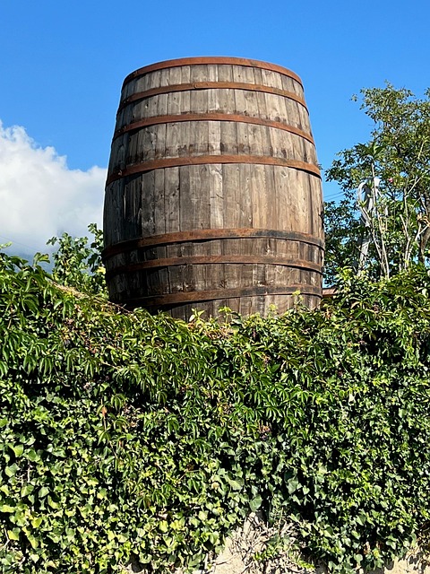 big wine barrel