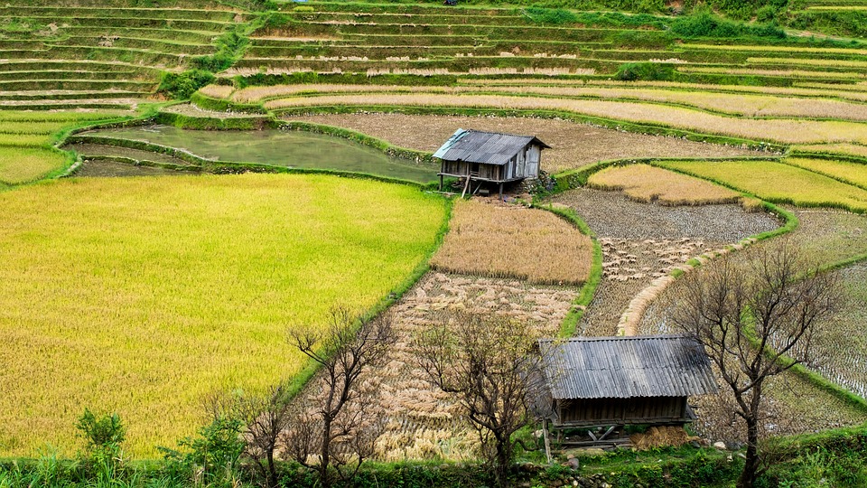 水稻梯田 稻田 村庄 - Pixabay上的免费照片 - Pixabay