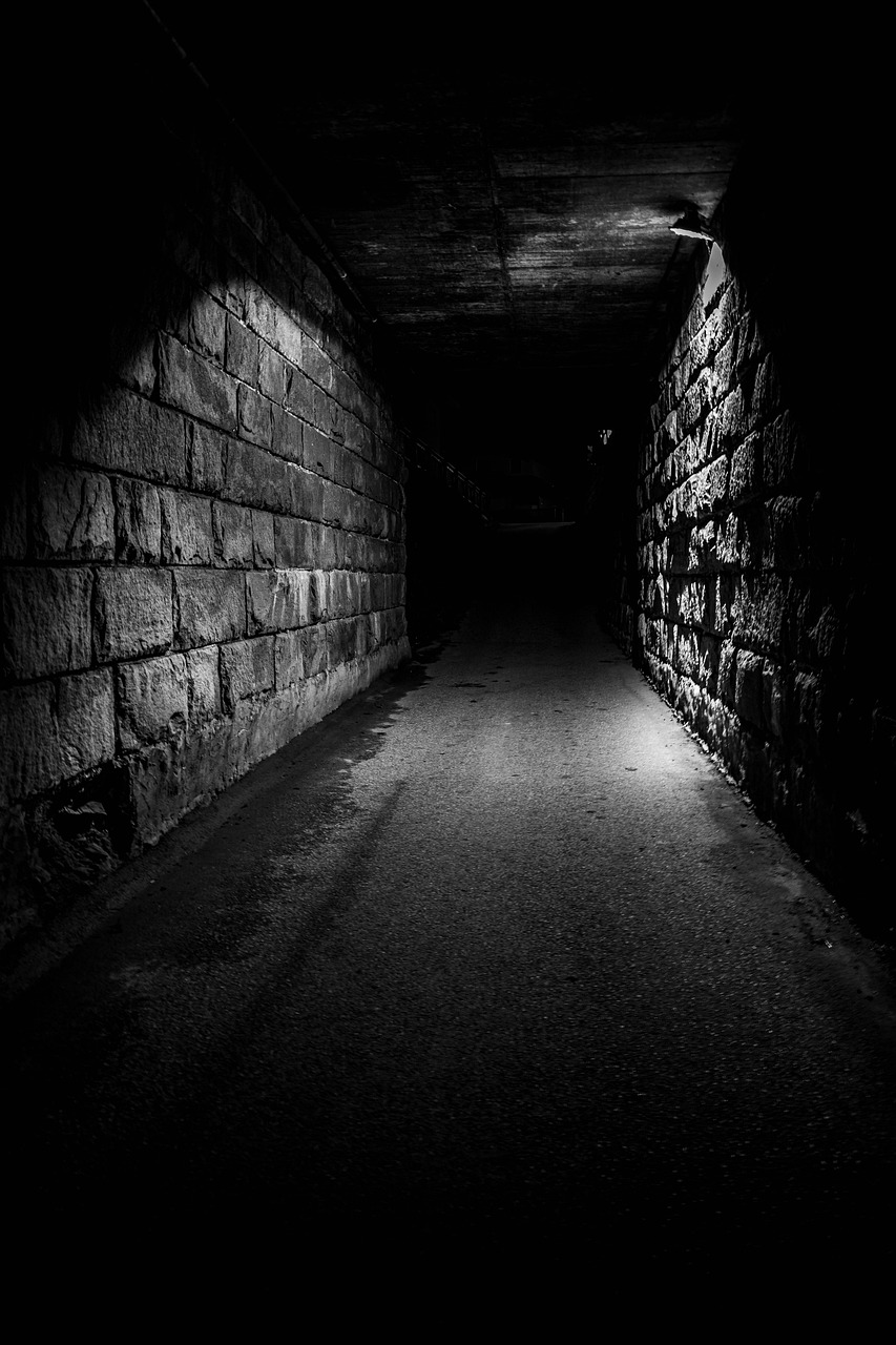 Tunnel Horror Halloween Free photo on Pixabay Pixabay