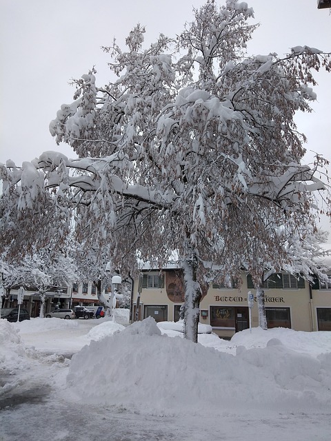 Free Winter Snow photo and picture