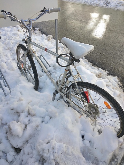 Free Snow Snowed In photo and picture