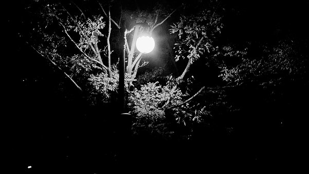 Free Night Park photo and picture