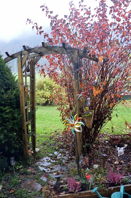 Free Rose Arch Garden photo and picture