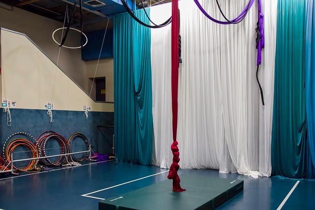 Free Gym Aerial Acrobatics photo and picture