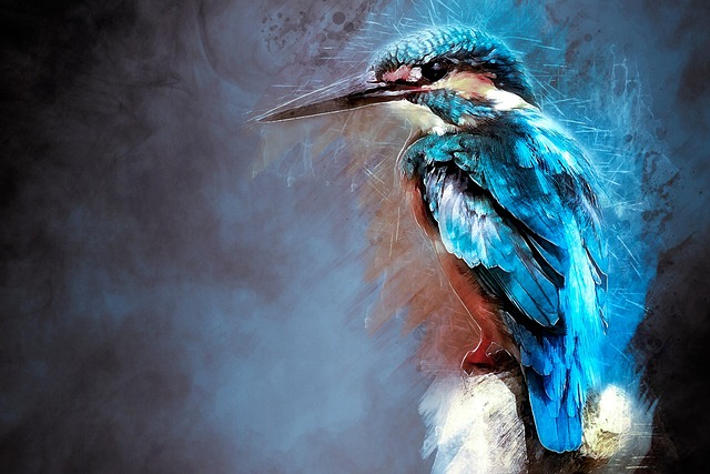 Free kingfisher bird close up illustration